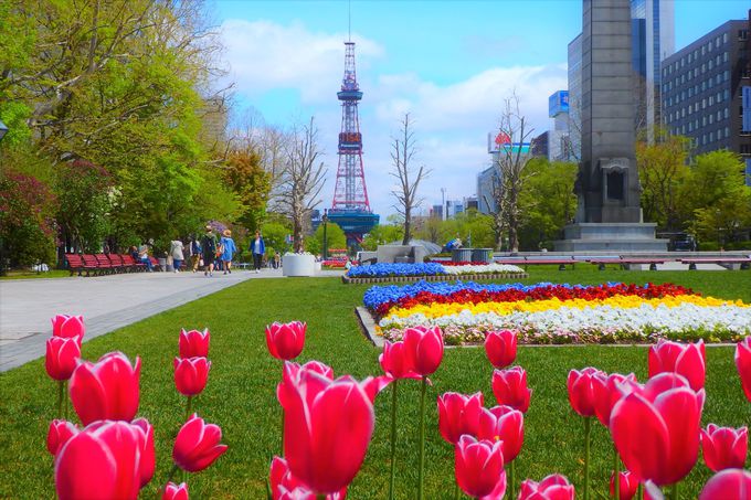 y1ځFߌzʌ`ۂer`Dysv