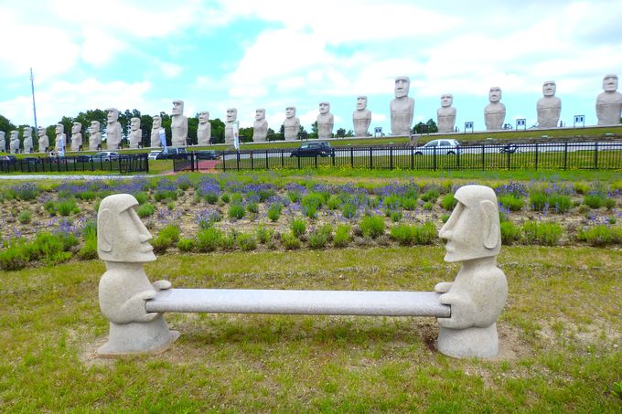札幌 滝野霊園 は穴場の新名所 大仏がラベンダーからひょっこり 北海道 トラベルjp 旅行ガイド