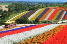 ���l�u�W�]�Ԕ� �l�G�ʂ̋u�v���ŋ��Ƀt�H�g�W�F�j�b�N�I�g�łԔ��̌����͂��H�̋L���T���l�C��