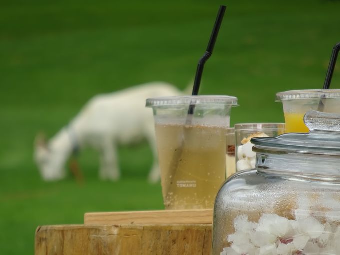 sNjbNŁu샊][g@g}v̌iF\