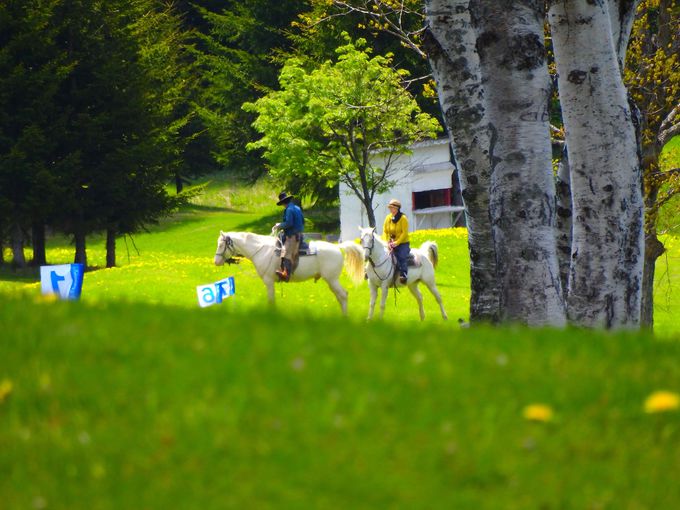 kC炵YȎR𖡂킦IXX̌RI