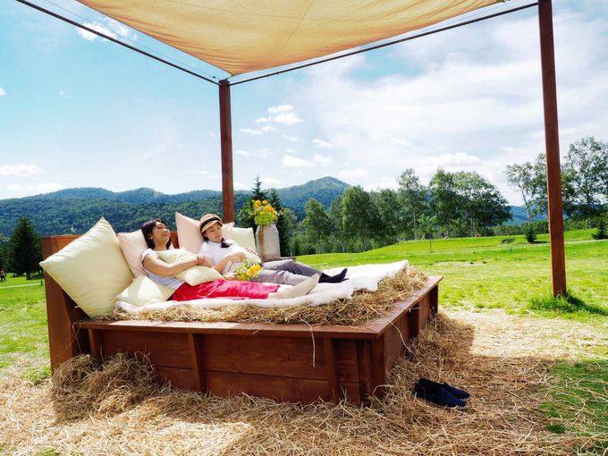 �G�߂��킸�h���\�I�u�����[���v�Ɓu�_�X�C�[�g���[���v