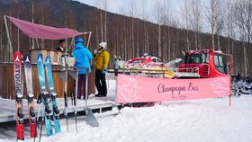 iVpo[TI샊][g@g}łR̃Qfy̋LTlC