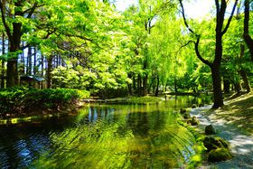 эLEƂόɁu^뉀v̗΂̖₵Ԃ߂̋LTlC