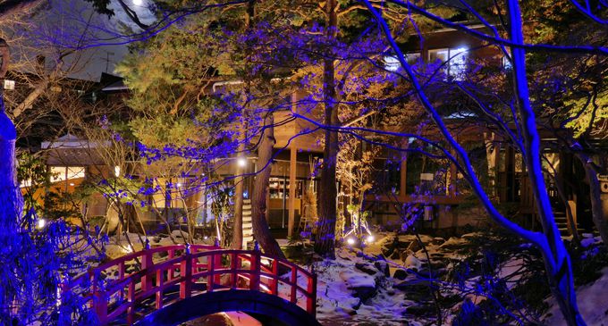 1,000坪の日本庭園が幻想的にライトアップ