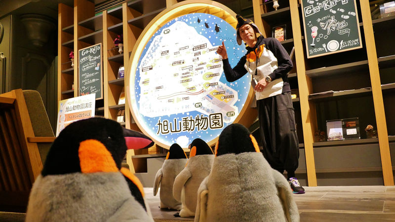 シロクマにペンギンも！星野リゾート　OMO7旭川の客室大公開