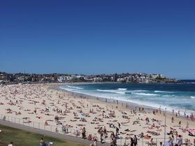 �V�h�j�[�ߍx�I�{���_�C�E�r�[�`�Ń��]�[�g�C���ɐZ�낤�̋L���T���l�C��