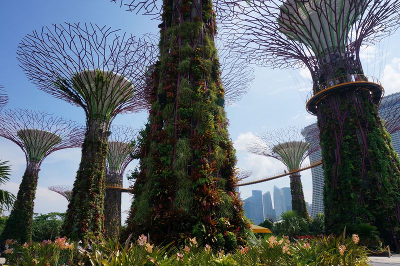 シンガポールの新しい観光名所『ガーデンズバイザベイ』を味わいつくす！