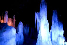 �x�m�R�[�̓V�R�N�[���[�I�R���E�x�x�����Ɩ�X����T�����悤�̋L���T���l�C��