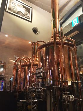 헤̍̒nr[ŁI_cu헤u[COE{vɐI̋LTlC