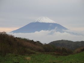 ���j���i�ϔ����y���߂�I���������ӊό��X�|�b�g4�I�̋L���T���l�C��