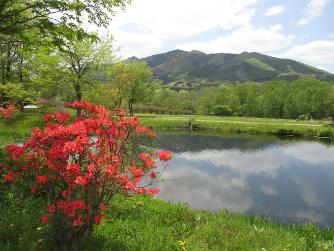 ����ӂ邳�Ƒ��^��茧����s