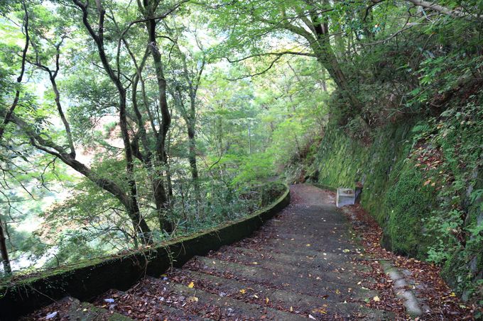 こんなところに幽谷の秘境 1時間で巡る箱根堂ヶ島渓谷 神奈川県 Lineトラベルjp 旅行ガイド