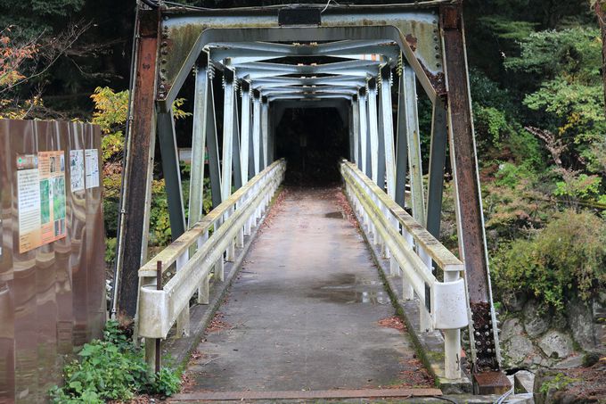 こんなところに幽谷の秘境 1時間で巡る箱根堂ヶ島渓谷 神奈川県 Lineトラベルjp 旅行ガイド