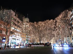 �~�ɖK�ꂽ�����̊ό��X�|�b�g10�I ���l�̐��n�ɐ��O�������I