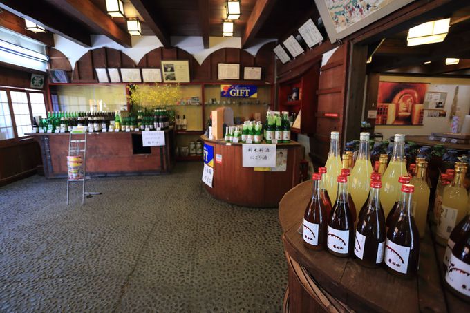 1849�N�n�Ƃ̘V�܁u����𑢁v�I���͎m�����C���ɑ���̓��{������|����