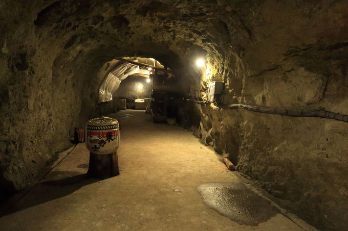 �Y����Ă�����ԍH���!�q��600m�̓��A������̓��{�𒙑���