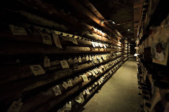 �Y����Ă�����ԍH���!�q��600m�̓��A������̓��{�𒙑���