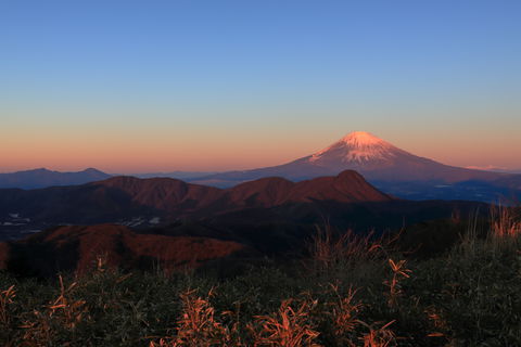 ��N�w�Ƃ������ƕx�m�R�I�����E���_���x