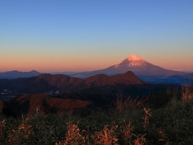 ��N�w�Ƃ������ƕx�m�R�I�����E���_���x�g���b�L���O