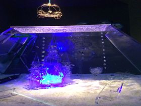 福岡・マリンワールド冬の三大イベントが凄い！「スケリウム」やこたつでイルカショーを満喫しよう