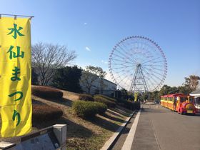 20{̃XCZo}IՊCu܂v̋LTlC