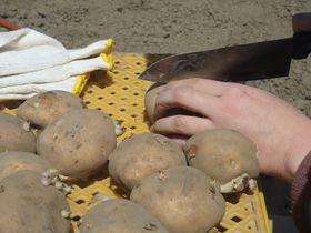 �Ȗ؁u�������̗��v�ł��Ⴊ�����I�[�i�[�ɂȂ낤�I3000�~��40�L�����n�ł���`�����X�I�̋L���T���l�C��