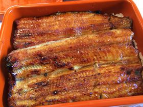 ʂ̐HוlCX|bg15II߂̃XC[cEOV܂̖X猊܂ŏЉ̋LTlC