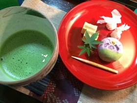 抹茶と和菓子でほっこり！金沢の寺カフェ「宝勝寺」の喫茶室とガーデンを満喫