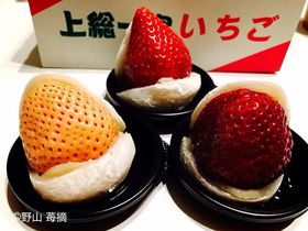 ��������������������䕑啟�Ɋ����I��t�E�ߓ����������ō�肽�đ啟�Ɗ��n���������I�̋L���T���l�C��