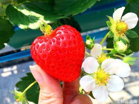 a̎RE_I̍Ńn[gƂ߂I܂Ђ߂Ƃ̌䕂ɐہI̋LTlC