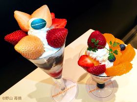 낢&䕂ɃptFHוIEtH[V[YYJtFŖ̂ЂƎ̋LTlC