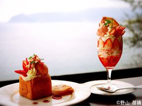 伊豆の絶景カフェ「花の妖精」で見惚れるパフェと豪華な伊勢海老カレー！
