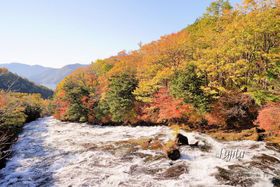 ̍gť͉ɁIߍgtR[Xŏa؉̋LTlC