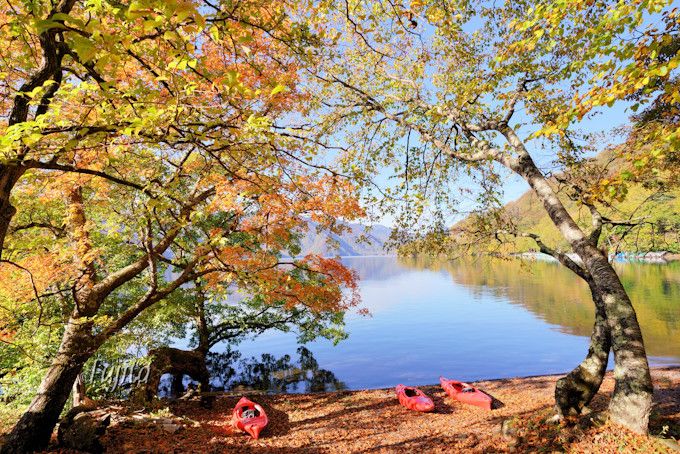 中禅寺湖の紅葉が一番人気！