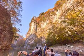 Ǖ@kMōgtI̍gt͒fRǂƃR{̋LTlC