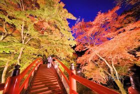 ɍۉ̍gtTIICgAbvǨ܂ł̋LTlC