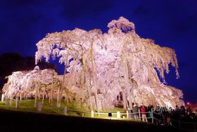 Ot̓CgAbvKI̐lC{ԌU@̋LTlC