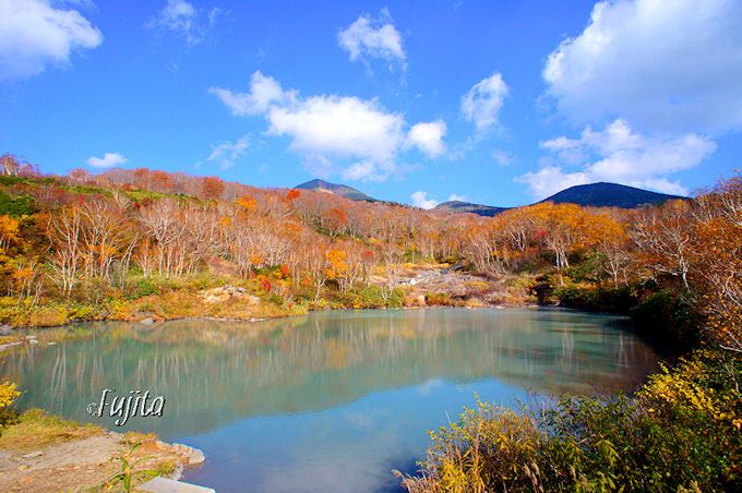 四季を通して楽しめる「八甲田」でハイキング
