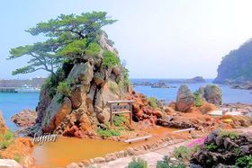 ��������<mark>����</mark>�x�X�g�T�I�����̍����C���I�V���C�ɐ����œ��낤�̋L���T���l�C��