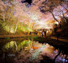 ���{�O��������͖������i�I�����隬�����`���쌧�ɓߎs�`�̋L���T���l�C��