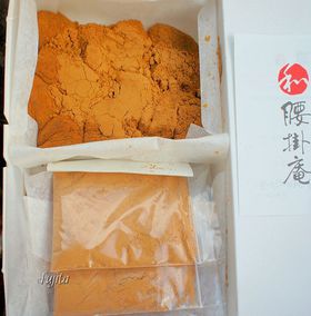 sȊOœ{IR`EVu|v̐iuі݁v̋LTlC