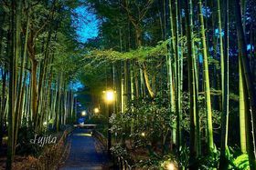 �C�P������u�ق���̗[�ׁv�Ɓu�|�т̏��a�v�̖�i���y�������I�̋L���T���l�C��