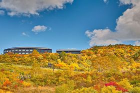 IR̍gtiIHcE{쉷uIRvōgt̋LTlC