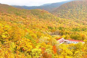 �ԓ�����D�R���̍g�t�I�V���C�I�����E�y�������򋽂ōg�t���̋L���T���l�C��