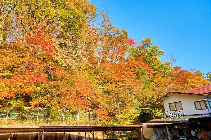 絶景の紅葉が出迎える！秋の宮温泉郷「鷹の湯温泉」