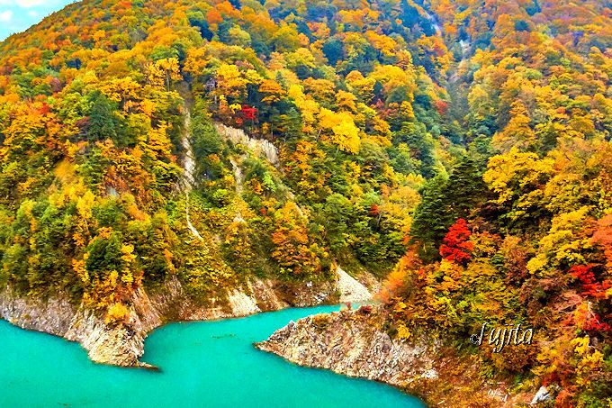 高瀬渓谷の紅葉は龍神湖の水色に映える！