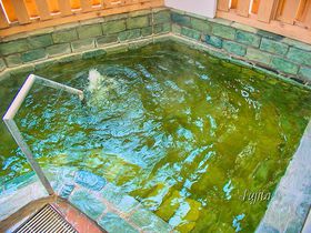 白や緑に変化する硫黄泉が最高！鳴子ホテルは、鳴子温泉屈指の名湯