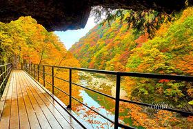 ���Ԃ�k�J�ōg�t���I�H�c�E�p�ق�����߂��g�t�����̋L���T���l�C��