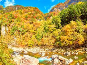 深い渓谷の紅葉が凄い！三重・香落渓は日本有数のスケール感